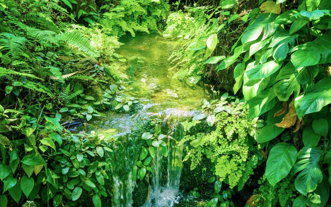 Your Carbon Impact: Measure It to Manage It